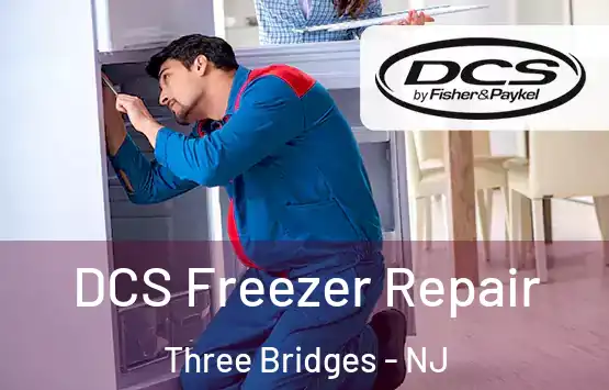 DCS Freezer Repair Three Bridges - NJ