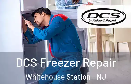 DCS Freezer Repair Whitehouse Station - NJ