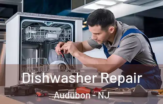  Dishwasher Repair Audubon - NJ