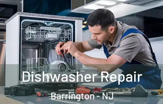  Dishwasher Repair Barrington - NJ