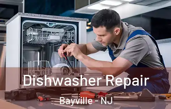  Dishwasher Repair Bayville - NJ