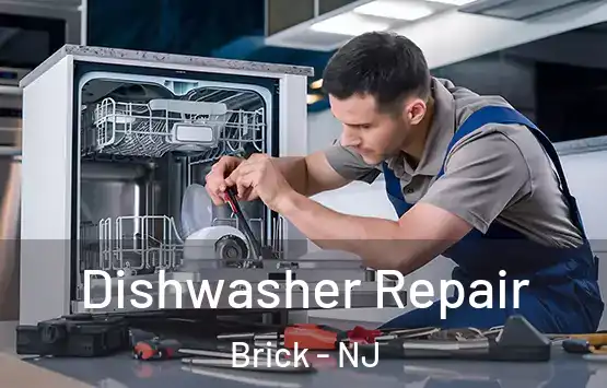  Dishwasher Repair Brick - NJ