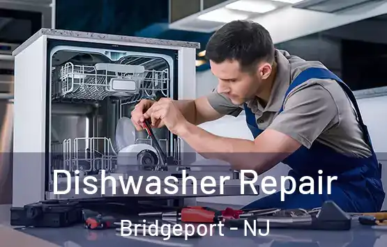  Dishwasher Repair Bridgeport - NJ