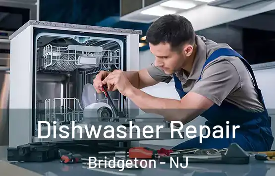  Dishwasher Repair Bridgeton - NJ