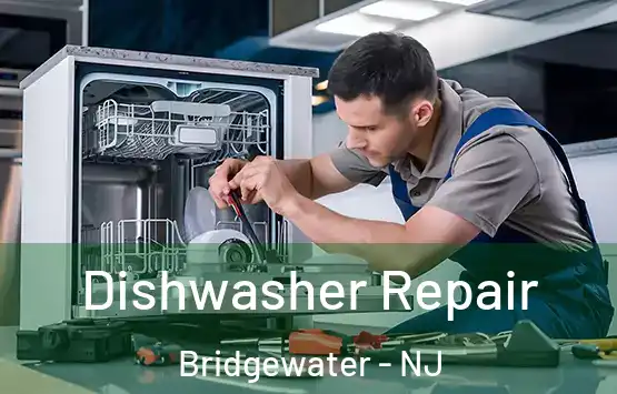  Dishwasher Repair Bridgewater - NJ