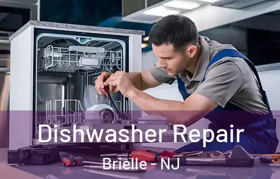  Dishwasher Repair Brielle - NJ