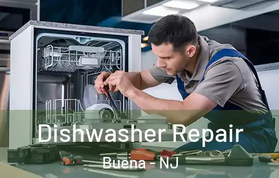  Dishwasher Repair Buena - NJ