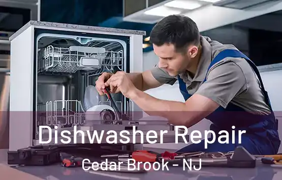  Dishwasher Repair Cedar Brook - NJ