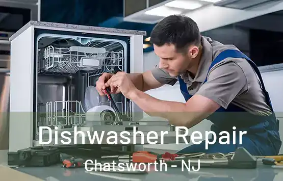  Dishwasher Repair Chatsworth - NJ