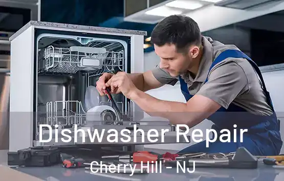  Dishwasher Repair Cherry Hill - NJ