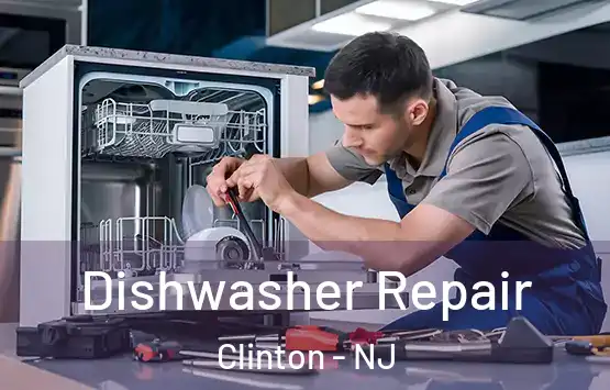  Dishwasher Repair Clinton - NJ