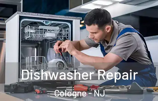  Dishwasher Repair Cologne - NJ
