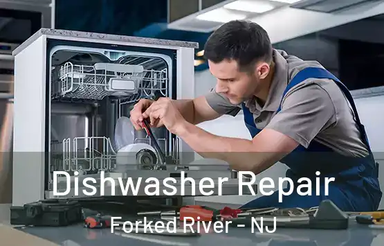  Dishwasher Repair Forked River - NJ