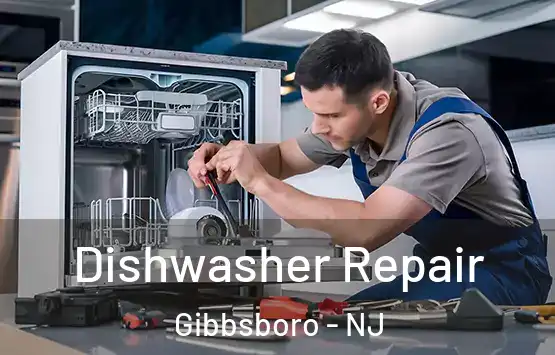  Dishwasher Repair Gibbsboro - NJ