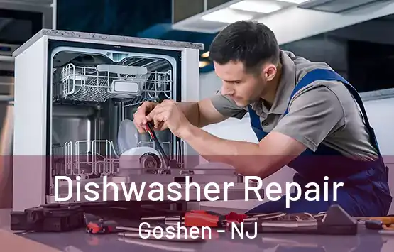  Dishwasher Repair Goshen - NJ