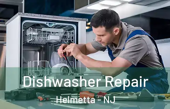  Dishwasher Repair Helmetta - NJ