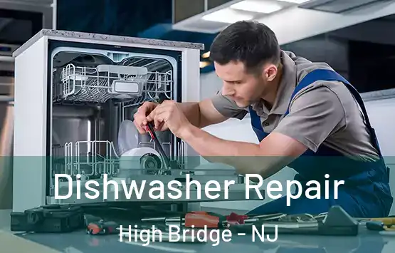  Dishwasher Repair High Bridge - NJ