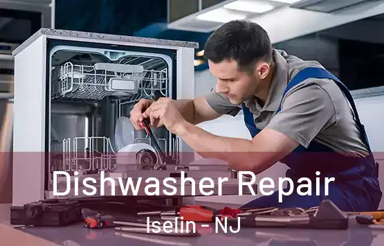  Dishwasher Repair Iselin - NJ