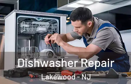  Dishwasher Repair Lakewood - NJ