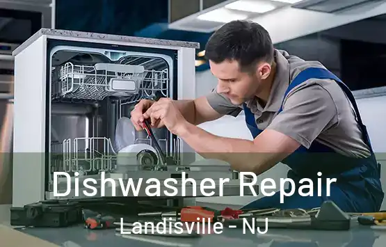  Dishwasher Repair Landisville - NJ