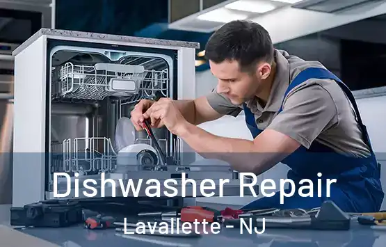  Dishwasher Repair Lavallette - NJ