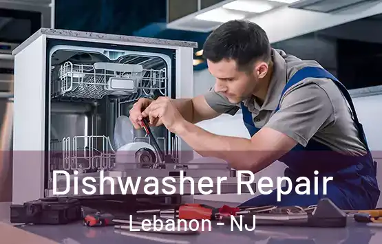  Dishwasher Repair Lebanon - NJ