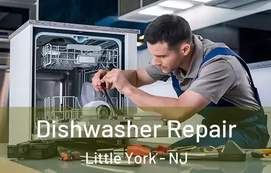  Dishwasher Repair Little York - NJ