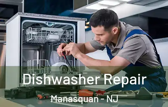  Dishwasher Repair Manasquan - NJ