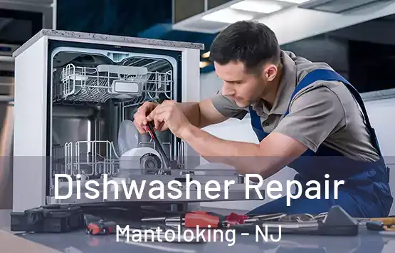  Dishwasher Repair Mantoloking - NJ