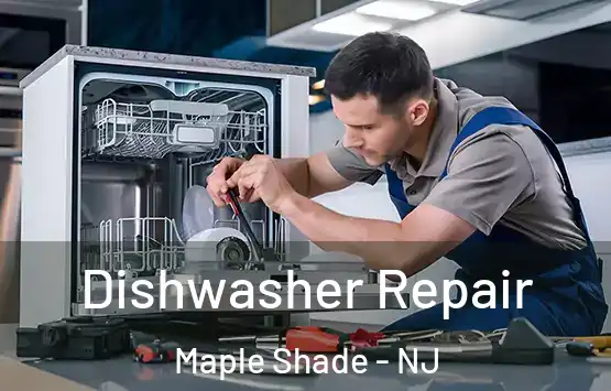  Dishwasher Repair Maple Shade - NJ