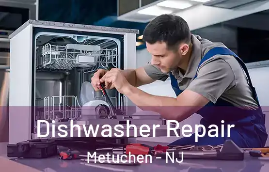  Dishwasher Repair Metuchen - NJ
