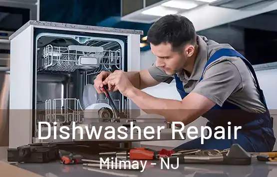 Dishwasher Repair Milmay - NJ