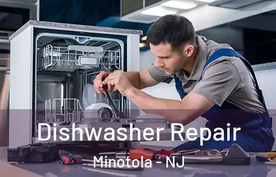  Dishwasher Repair Minotola - NJ