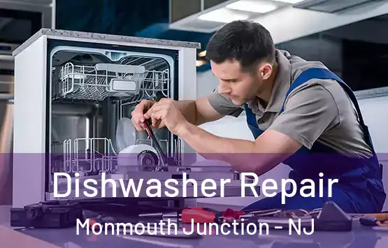  Dishwasher Repair Monmouth Junction - NJ