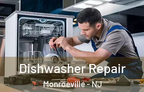  Dishwasher Repair Monroeville - NJ