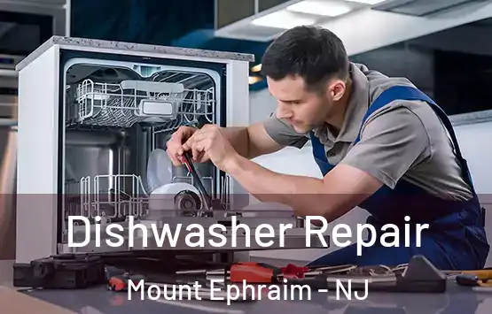  Dishwasher Repair Mount Ephraim - NJ