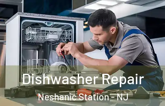  Dishwasher Repair Neshanic Station - NJ