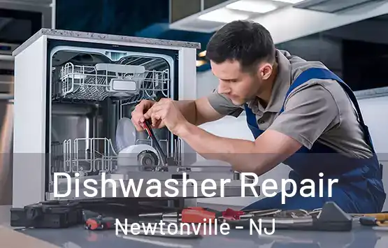  Dishwasher Repair Newtonville - NJ