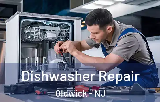  Dishwasher Repair Oldwick - NJ