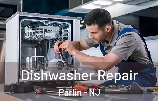  Dishwasher Repair Parlin - NJ