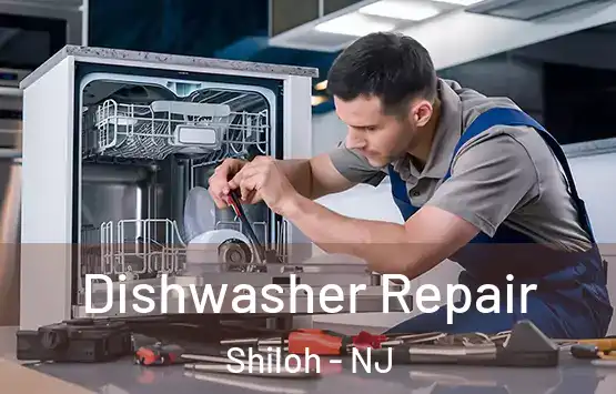  Dishwasher Repair Shiloh - NJ