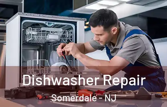  Dishwasher Repair Somerdale - NJ