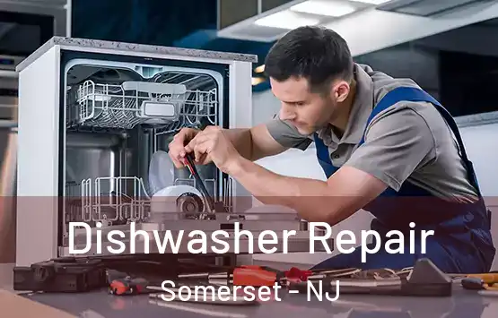  Dishwasher Repair Somerset - NJ