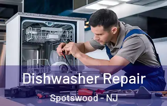  Dishwasher Repair Spotswood - NJ