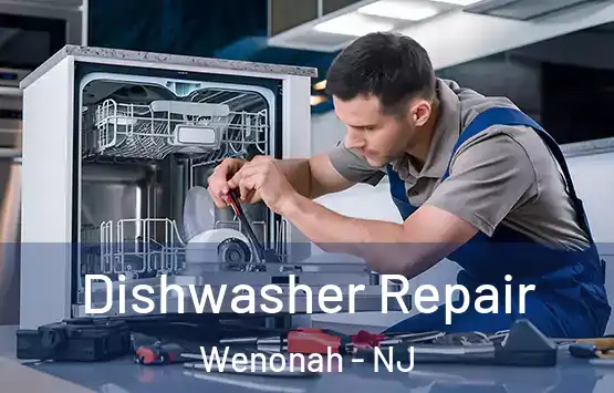  Dishwasher Repair Wenonah - NJ