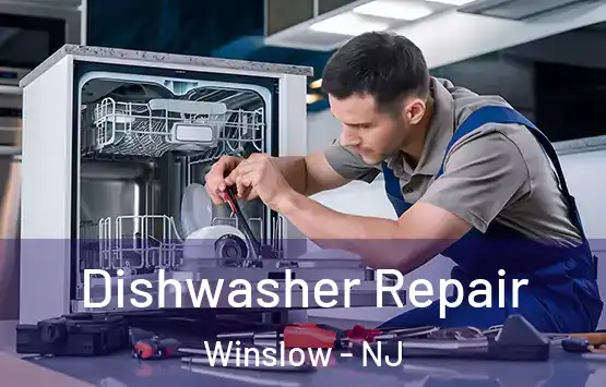  Dishwasher Repair Winslow - NJ