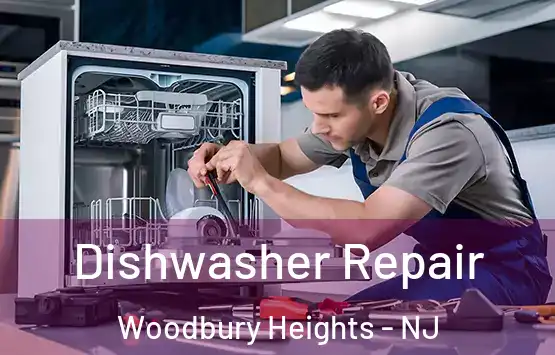  Dishwasher Repair Woodbury Heights - NJ