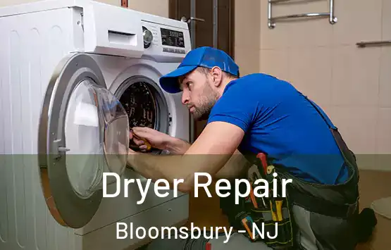  Dryer Repair Bloomsbury - NJ