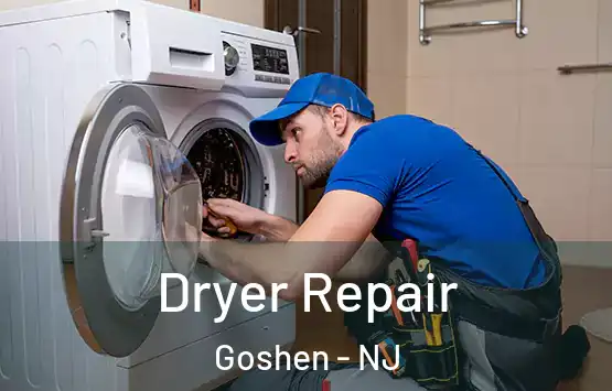  Dryer Repair Goshen - NJ
