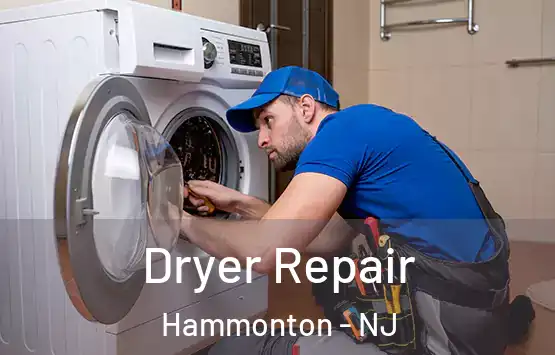  Dryer Repair Hammonton - NJ